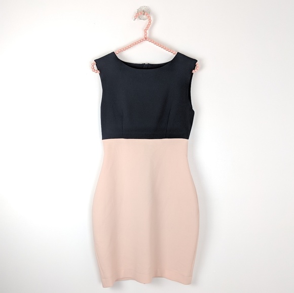 zara two tone dress